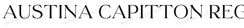 Austina Capitton Reg字体转换